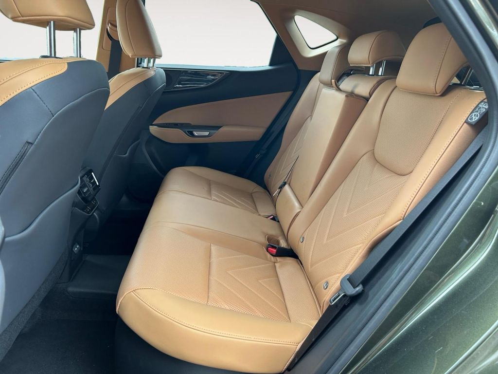 Fahrzeugabbildung Lexus NX 450h+ E-FOUR Executive Line