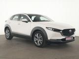 Mazda CX-30 Selection ACC|Navi|Kamera|HeadUp|CarPlay - Mazda CX-30: Selection