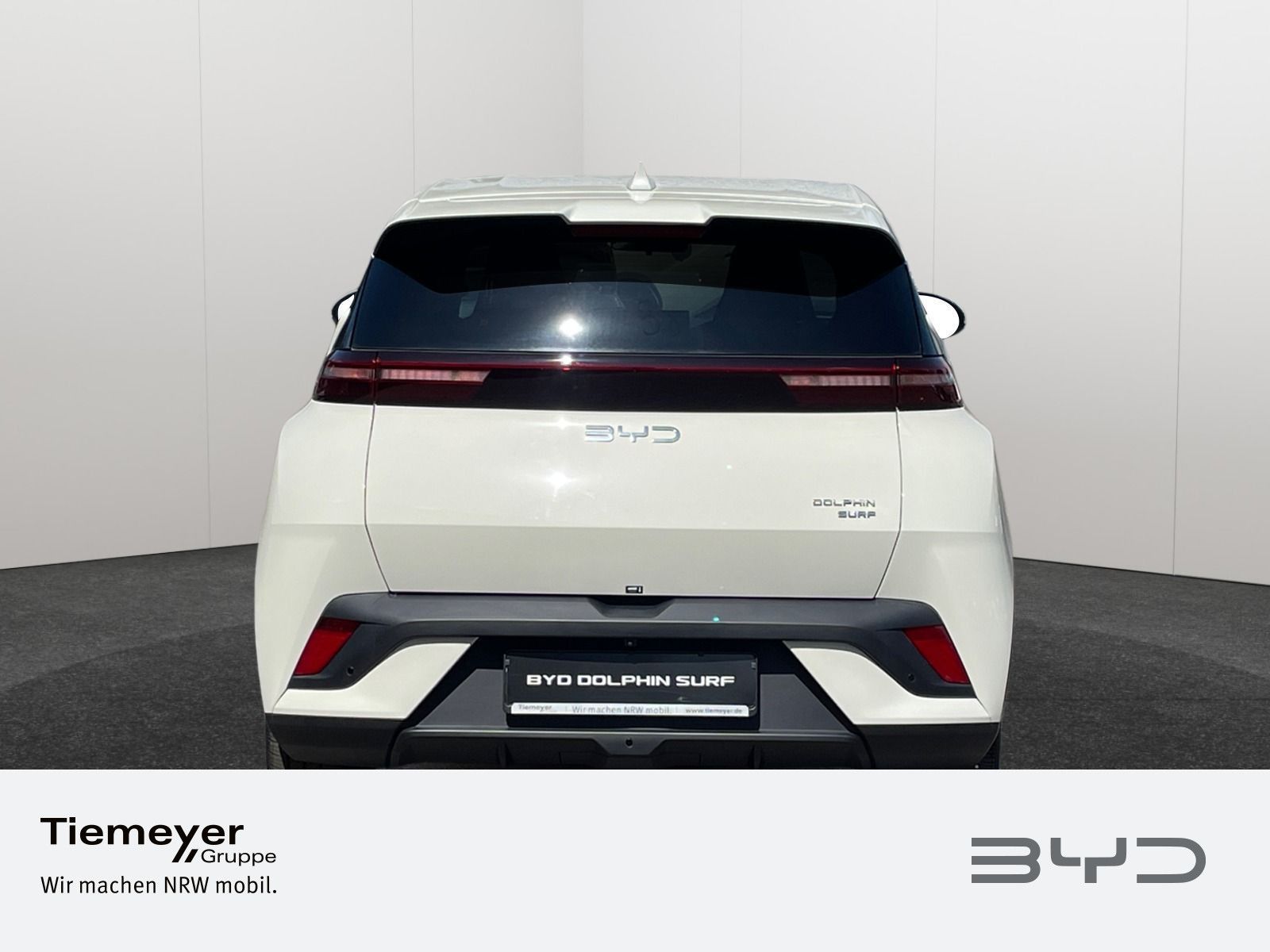 BYD DOLPHIN SURF