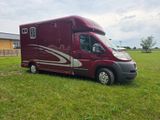 Peugeot Boxer Pferdetransporter