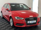 Audi A3 Sportback 1.6 TDI Pano Bi-Xenon Teilleder AHK - Audi A3: 6.1