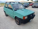 Fiat Panda 1100 i.e. cat Young - gebrauchte Fiat Panda aus dem Jahr 2002