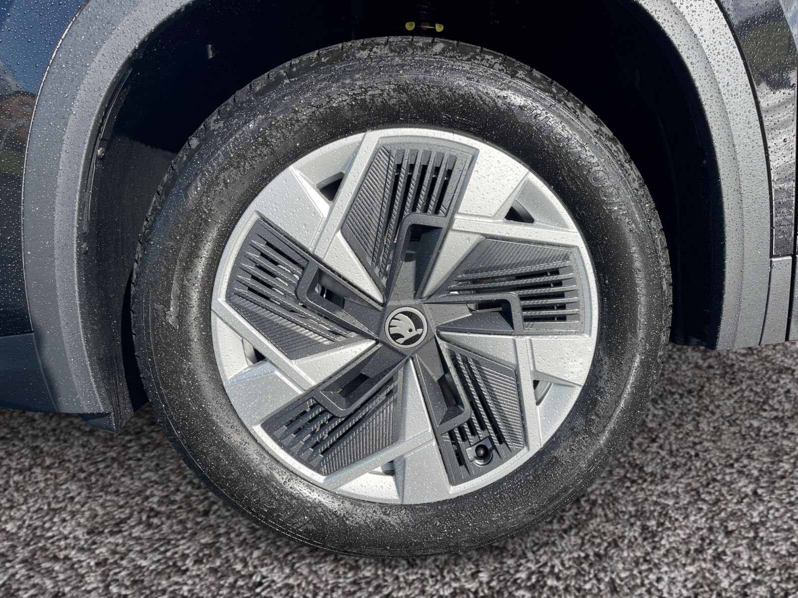 Skoda Kodiaq - Bild 7