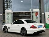 Mercedes-Benz SL 63 AMG Roadster/PERFORMANCE/STYLING-PAK 1/AIR - Mercedes-Benz SL 63 AMG