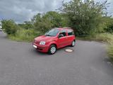 Fiat Panda Dynamic 1.3 16v  Multijet Diesel - Fiat Doblo: Dynamic