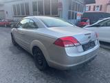 Ford Focus Cabrio Titanium*Leder* - Ford Focus: Cabrio, Titanium
