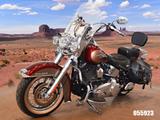 Harley-Davidson FLSTC Heritage Softail 96 cui *5HD1/U-frei* - HARLEY-DAVIDSON FLSTC