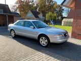Audi A8 D2 2.8 Quattro | Handschalter | H-... - gebrauchte Audi A8 aus dem Jahr 1996
