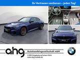 BMW M2 CS Parking Assistant Lenkradheizung