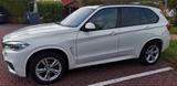 BMW X5 xDrive30d - M Sport-Paket AHK Panoramadach - BMW X5: Panoramadach