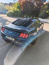 Ford Mustang 5.0 V8 GT Shelby Optik - Ford Mustang: Schwarz, Shelby
