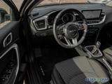 Kia Ceed Sportswagon 1.5T Vision Navi/GRA/Kamera/Len - Kia cee'd Sportswagon aus 2024