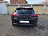 Lexus UX 250h Executive Line Hybrid (10/2022) - Lexus Gebrauchtwagen von 2022
