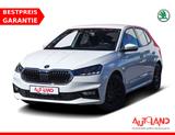 Skoda Fabia 1.0 Ambition LED SmartLink Sitzheizung PDC - Skoda Fabia Gebrauchtwagen