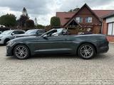 Ford Mustang 2.3 EcoBoost/Cabrio/SHZ/S.Luft/Navi/Led - Ford: Cabrio