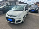 Fiat Panda 1.0 FireFly S&S Hybrid Easy - Fiat Panda EASY mit Hybrid-Antrieb (Benzin/Elektro)