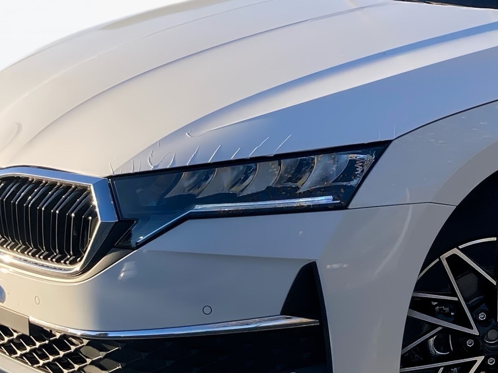 Skoda Octavia - Bild 6