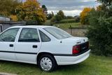 Opel Vectra+ClassicData Gutachten/Ausliefe... - gebrauchte Opel Vectra aus dem Jahr 1995