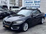 BMW 220 i CABRIO,LUXURY-LINE,LEDER,BI-XENON,TOP - BMW 220 in Duisburg