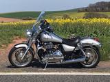 Triumph Thunderbird 1600, Scheibe, Koffer, Sissybar .. - Angebote