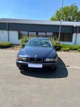 BMW E 39 523 i 2494 m Benziner für Sämmle... - BMW 523: 523i E39