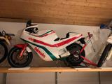 Bimota DB1 aus Sammlungsauflösung - BIMOTA MOTORRAD