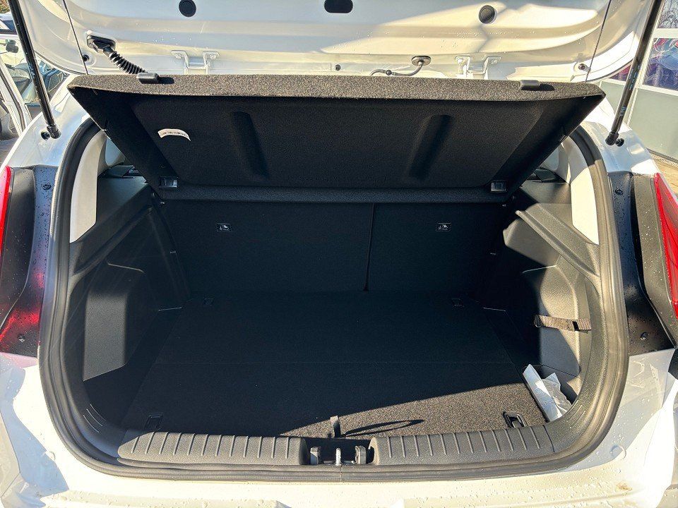 Fahrzeugabbildung Hyundai BAYON 1.0T 100PS DCT Trend Komfort