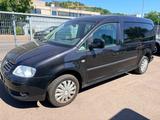 Volkswagen Caddy Maxi Life/BEHINDERTGERECHT/ - Volkswagen Caddy aus 2010: Maxi