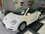 Volkswagen New Beetle 1.9 TDI 105CV Cabrio - Volkswagen New Beetle: Beige