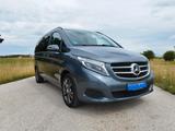 Mercedes-Benz V 250 d Aut. AVANTGARDE lang,  inkl Winter AHK - Mercedes-Benz V-Class: Avantgarde