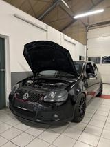 Volkswagen Golf 2.0 T-FSI GTI 480 PS Legal  - Volkswagen Golf: GTI Fsi