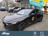 Mazda 3 2,5-Liter e-Skyactiv G 140 Homura *VFW* - Mazda 3 in Bielefeld