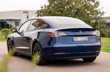 Tesla Model 3 Performance 1. Hand - Top gepflegt  - Tesla Model 3 in Ludwigshafen