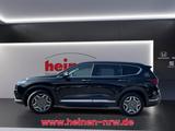 Hyundai Santa FE 1.6 HEV 2WD 5-Sitzer Leder+NAV+360+AHK - gebrauchte Hyundai SANTA FE aus dem Jahr 2023