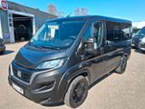Fiat BUS 9-Sitzer L1H1 Serie 8 - Fiat Ducato: Serie