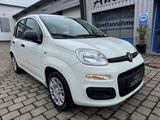 Fiat Panda MY25 1.0 GSE *5-Sitzer*GRA* PDC*Bluet.* - Fiat Panda: Sitzer