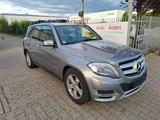 Mercedes-Benz GLK 250 GLK -Klasse GLK 250 CDI BlueTec 4Matic - Mercedes-Benz GLK 250 aus 2015