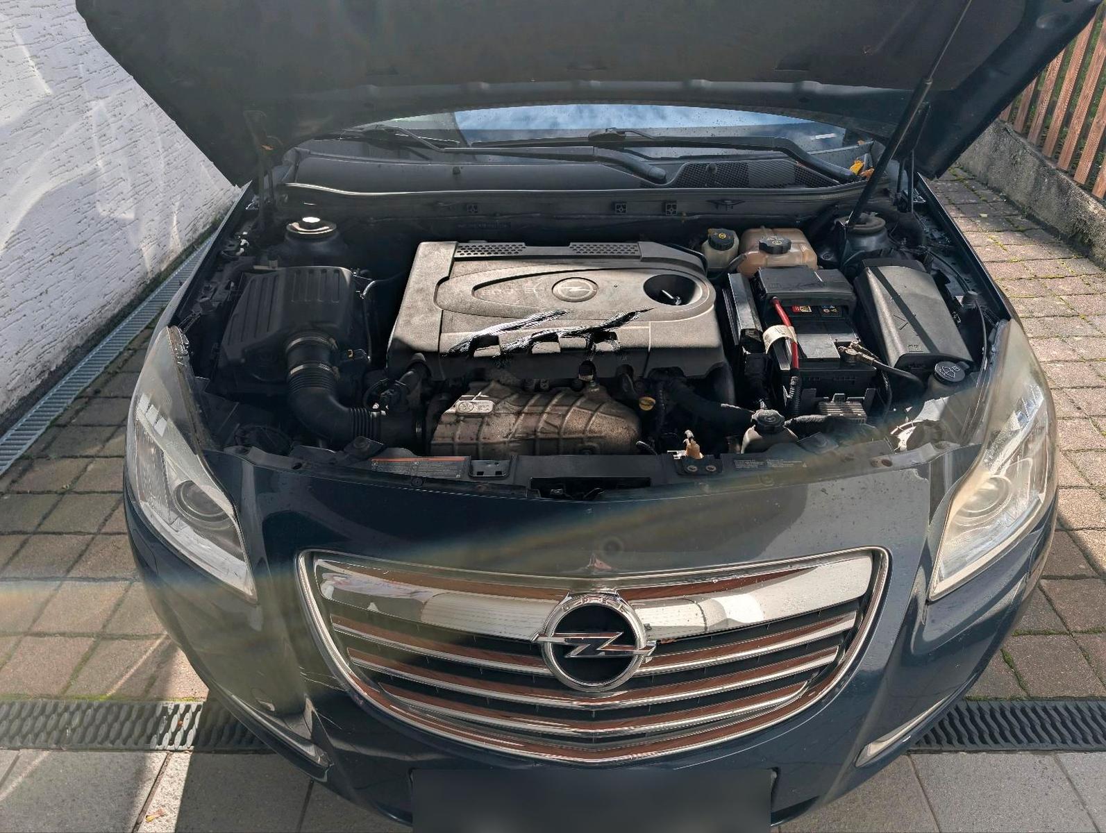 Opel Insignia 2010 — rear view