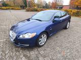 Jaguar XF 3.0 V6 Diesel Luxury Luxury