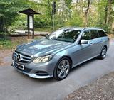 Mercedes-Benz E 250 BlueTEC 4MATIC T AVANTGARDE Autom. AVA... - Mercedes-Benz E 250 in Mainz