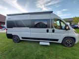Knaus Box Star 600 MQ 60years Edition sehr gepflegt - Knaus Kastenwagen Klimaanlage 600 mq