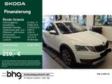 Skoda Octavia Combi Scout *AHK*NAVI*KAMERA* - Skoda: Scout