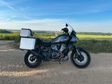 Harley-Davidson Pan America 1250 Special - Offers matching your search criteria
