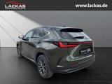 Lexus NX 350h Executive interieur Paket +Technologie P - Lexus NX-Serie in Essen