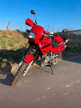 Honda NX 650 Dominator  TÜV neu  - Offers matching your search criteria
