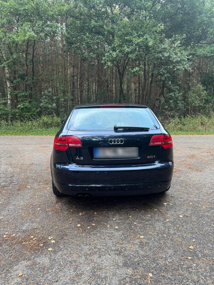 Audi A3 2009 — photo 5