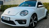 Volkswagen Beetle 1.4 TSI BMT Sport Panoramadach R-Line - Volkswagen Beetle in Wuppertal