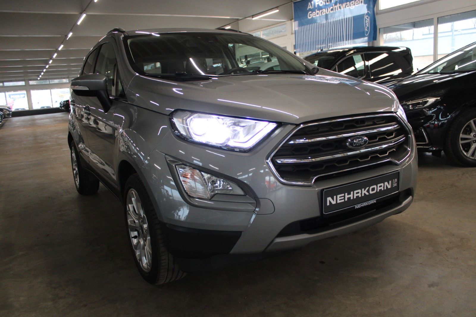 Fahrzeugabbildung Ford EcoSport Titanium LED WinterPaket DAB Teilleder