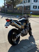 Honda Hornet CB600F - HONDA 2004 HORNET 600