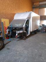 Fiat Ducato 3.0 Koffer  LBW ohne Motor - Fiat Ducato Koffer Gebrauchtwagen